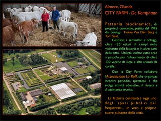 Almere, Olanda

CITY FARM - De Kemphaan
Fattoria biodinamica, di

proprietà comunale, gestita dal 1995
dai coniugi Tineke Van Den Berg e
Tom Saat.
Gestisce, a seminativi e ortaggi,
oltre 120 ettari di campi nelle
vicinanze della fattoria e in altre parti
della città. Utilizza inoltre vaste aree
a pascolo per l’allevamento di oltre
130 vacche da latte e altri animali da
cortile.
Con la City Farm collabora
l’Associazione La Ruff, che organizza
incontri periodici, spettacoli e che
svolge attività educative, di ricerca e
di assistenza tecnica.

La fattoria costituisce oggi uno
degli spazi pubblici più
frequentati... un vero e proprio
cuore pulsante della città.

 