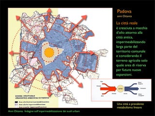 Padova
anni Ottanta

La città reale
è cresciuta a macchia
d’olio attorno alla
città antica,
impermeabilizzando
larga parte del
territorio comunale
e considerando il
terreno agricolo solo
quale area di riserva
per future nuove
espansioni.

Una città a prevalente
metabolismo lineare
Anni Ottanta: Indagine sull’impermeabilizzazione dei suoli urbani

 