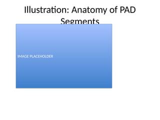 Pad Cell Structure Peripheral arterial disease_Recent_Advances_Rutherford.pptx