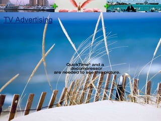 TV Advertising 