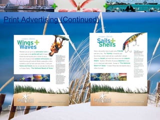 Print Advertising (Continued) 