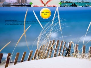 Houston/Valley Media Blitz 6 appointments with Houston Chronicle, In Town Magazine, Cox Radio, Clear Channel Radio, & Comcast. Pitched Feature Stories for Summer & Fall Events, Beaches & Nature Tourism  In Town Magazine photo feature story. -July 