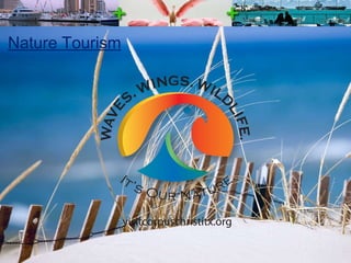Nature Tourism 