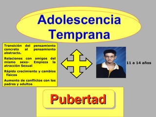 PubertadPubertad
Adolescencia
Temprana
11 a 14 años
Transición del pensamiento
concreto al pensamiento
abstracto.
Relaciones con amigos del
mismo sexo- Empieza la
atracción Sexual
Rápido crecimiento y cambios
físicos
Aumento de conflictos con los
padres y adultos
 
