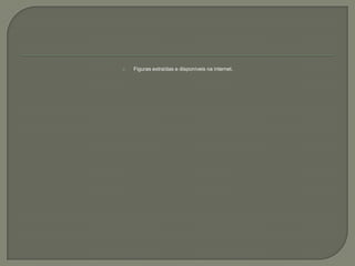  Figuras extraídas e disponíveis na internet.
 