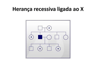 PadrõEs De HerançA