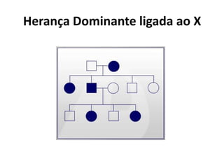 PadrõEs De HerançA