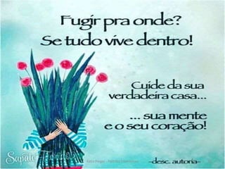 10Kátia Perger - Padrões Emocionais
 