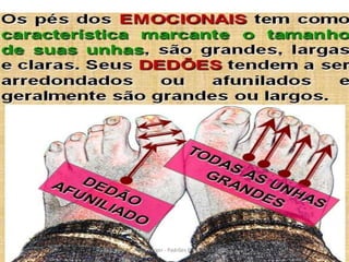 40Kátia Perger - Padrões Emocionais
 