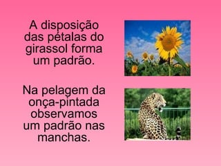 A disposição das pétalas do girassol forma um padrão. Na pelagem da onça-pintada observamos um padrão nas manchas. 