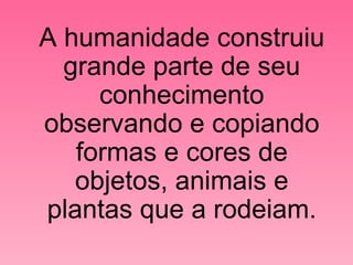 A humanidade construiu grande parte de seu conhecimento observando e copiando formas e cores de objetos, animais e plantas que a rodeiam. 