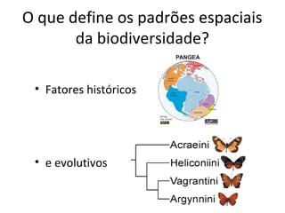 O que define os padrões espaciais
da biodiversidade?
• Fatores históricos
• e evolutivos
 