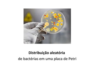 Distribuição aleatória
de bactérias em uma placa de Petri
 