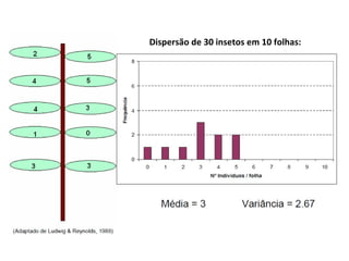 Dispersão de 30 insetos em 10 folhas:
 