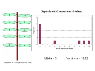 Dispersão de 30 insetos em 10 folhas:
 