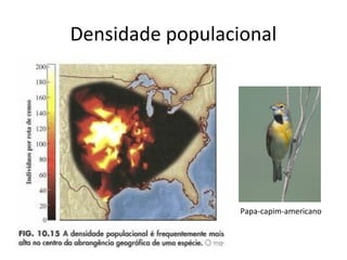 Densidade populacional
Papa-capim-americano
 