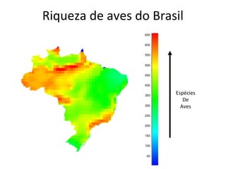 Riqueza de aves do Brasil
650
600
550
500
450
400
350
300
250
200
150
100
50
Espécies
De
Aves
 