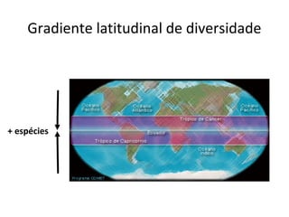 Gradiente latitudinal de diversidade
+ espécies
 