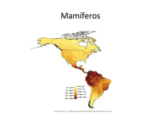 Mamíferos
 