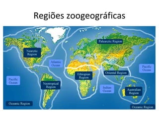 Regiões zoogeográficas
 