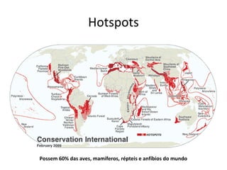 Hotspots
Possem 60% das aves, mamíferos, répteis e anfíbios do mundo
 