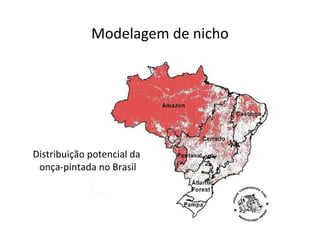 Modelagem de nicho
Distribuição potencial da
onça-pintada no Brasil
 