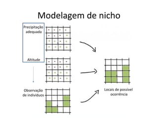 Modelagem de nicho
Precipitação
adequada
Altitude
Observação
de indivíduos
Locais de possível
ocorrência
 