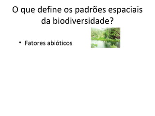 O que define os padrões espaciais
da biodiversidade?
• Fatores abióticos
 