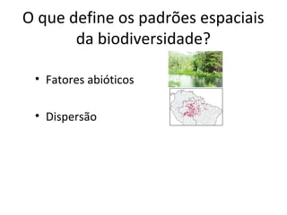 O que define os padrões espaciais
da biodiversidade?
• Fatores abióticos
• Dispersão
 