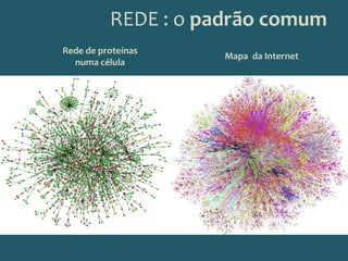 REDE : o padrão comumRede de proteínas numa célulaMapa  da Internet