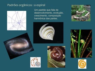 Padrões orgânicos : a espiralUm padrão que fala de desenvolvimento, evolução, crescimento, composição harmônica das partes.