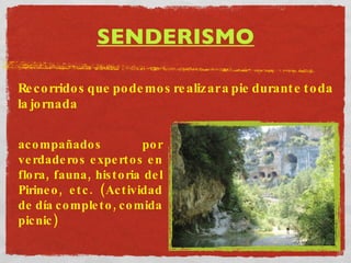 SENDERISMO Recorridos que podemos realizar a pie durante toda la jornada  acompañados por verdaderos expertos en flora, fauna, historia del Pirineo, etc. (Actividad de día completo, comida picnic) 