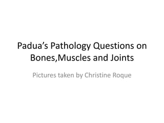 Padua’s Pathology Questions on Bones,Muscles and Joints Pictures taken by Christine Roque 
