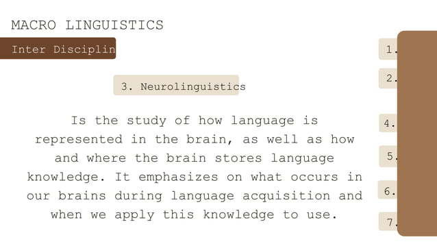 micro and macro linguistics | PPTX