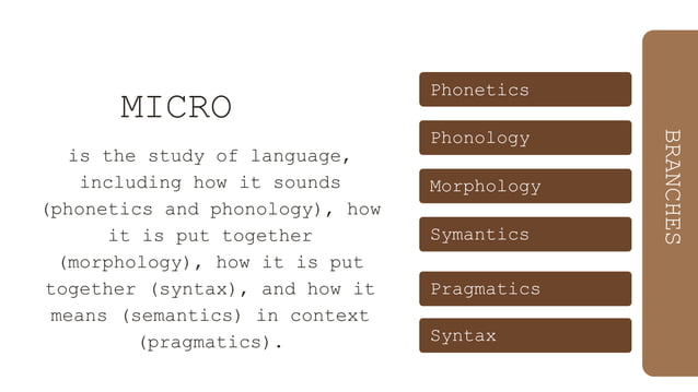 micro and macro linguistics | PPTX