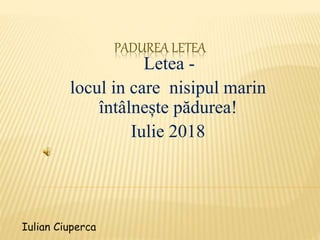 PADUREA LETEA
Letea -
locul in care nisipul marin
întâlnește pădurea!
Iulie 2018
Iulian Ciuperca
 