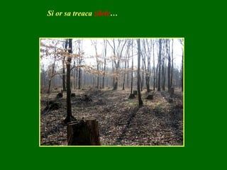 Si or sa treaca  zilele … 