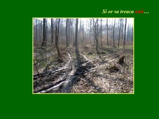 Si or sa treaca  anii … 