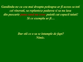 Gandindu-ne ca cea mai dreapta pedeapsa ar fi aceea ca toti  cei vinovati, sa replanteze padurea si sa nu iasa  din puscarie  pana cand nu cresc  puietii cat copacii taiati! Si ce exemplu ar fi… Dar stii ce o sa se intample de fapt? Nimic.  
