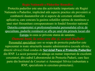 Regia Naţională a Pădurilor Romsilva Protectia padurilor este una din activitatile importante ale Regiei Nationale a Padurilor, implicând atât aspecte practice ale prevenirii si combaterii daunatorilor cât si aspecte de cercetare stiintifica aplicativa, care concura la gasirea solutiilor optime de mentinere a unei stari fitosanitare corespunzatoare in fondul forestier national.  Datorita competentei si profesionalismului personalului silvic de specialitate, padurile românesti se afla pe unul din primele locuri din   Europa   in ceea ce priveste starea de sanatate. Personalul specializat  care se ocupa de protectia padurilor este reprezentat in toate structurile noastre administrative (ocoale silvice, directii silvice) fiind condus de  Serviciul Paza si Protectia Padurilor  din RNP. La acest personal se adauga un numar important de excelenti cercetatori, din cadrul Laboratorului de Protectia Padurii, care face parte din Institutul de Cercetari si Amenajari Silvice (subunitate a RNP, specializata in cercetare-proiectare). Oameni buni, la orice ora din zi, se aud   drujbele ! 