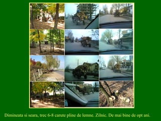 Dimineata si seara, trec 6-8 carute pline de lemne. Zilnic. De mai bine de opt ani. 