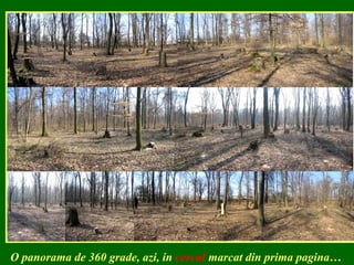 O panorama de 360 grade, azi, in  cercul  marcat din prima pagina… 