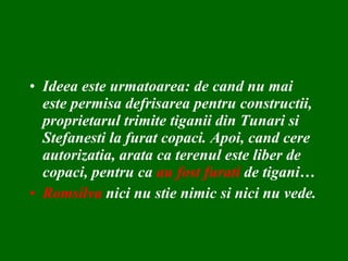 Ideea este urmatoarea: de cand nu mai este permisa defrisarea pentru constructii, proprietarul trimite tiganii din Tunari si Stefanesti la furat copaci. Apoi, cand cere autorizatia, arata ca terenul este liber de copaci, pentru ca  au fost furati  de tigani… Romsilva  nici nu stie nimic si nici nu vede. 