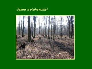 Pentru ce platim taxele? 