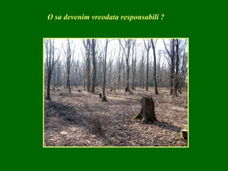 O sa devenim vreodata responsabili ? 