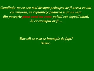 Gandindu-ne ca cea mai dreapta pedeapsa ar fi aceea ca toti  cei vinovati, sa replanteze padurea si sa nu iasa  din puscarie  pana cand nu cresc  puietii cat copacii taiati! Si ce exemplu ar fi… Dar stii ce o sa se intample de fapt? Nimic.  