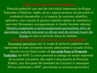 Regia Naţională a Pădurilor Romsilva Protectia padurilor este una din activitatile importante ale Regiei Nationale a Padurilor, implicând atât aspecte practice ale prevenirii si combaterii daunatorilor cât si aspecte de cercetare stiintifica aplicativa, care concura la gasirea solutiilor optime de mentinere a unei stari fitosanitare corespunzatoare in fondul forestier national.  Datorita competentei si profesionalismului personalului silvic de specialitate, padurile românesti se afla pe unul din primele locuri din   Europa   in ceea ce priveste starea de sanatate. Personalul specializat  care se ocupa de protectia padurilor este reprezentat in toate structurile noastre administrative (ocoale silvice, directii silvice) fiind condus de  Serviciul Paza si Protectia Padurilor  din RNP. La acest personal se adauga un numar important de excelenti cercetatori, din cadrul Laboratorului de Protectia Padurii, care face parte din Institutul de Cercetari si Amenajari Silvice (subunitate a RNP, specializata in cercetare-proiectare). Oameni buni, la orice ora din zi, se aud   drujbele ! 
