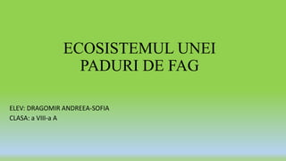 ECOSISTEMUL UNEI
PADURI DE FAG
ELEV: DRAGOMIR ANDREEA-SOFIA
CLASA: a VIII-a A
 