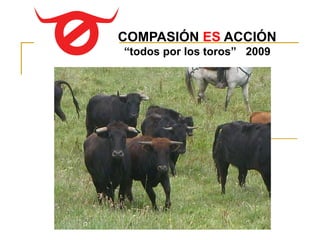 COMPASIÓN ES ACCIÓN
“todos por los toros” 2009
 