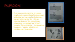 PALPACION:
• Es el proceso de examinar el cuerpo
empleando en sentido del tacto es decir
utilizando las manos y los dedos para
recoger información de ciertas
características de las estructuras
corporales, por debajo de la piel :
tamaño, forma, textura, temperatura,
humedad, pulsos, vibraciones,
consistencia y movilidad.
 